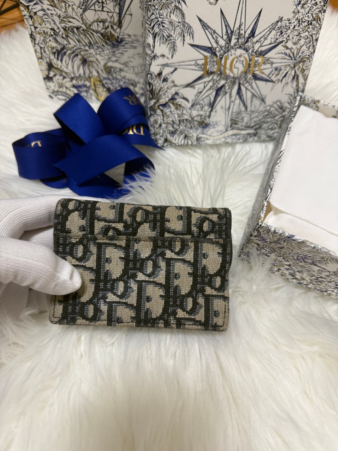 디올 오블리크 새들 카드지갑 상품이미지5