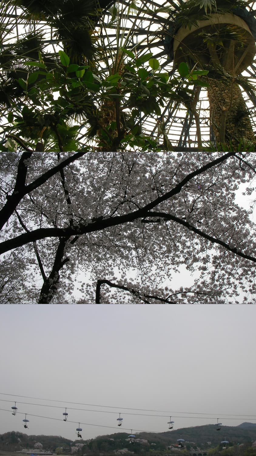 산요작티c5 상품이미지10