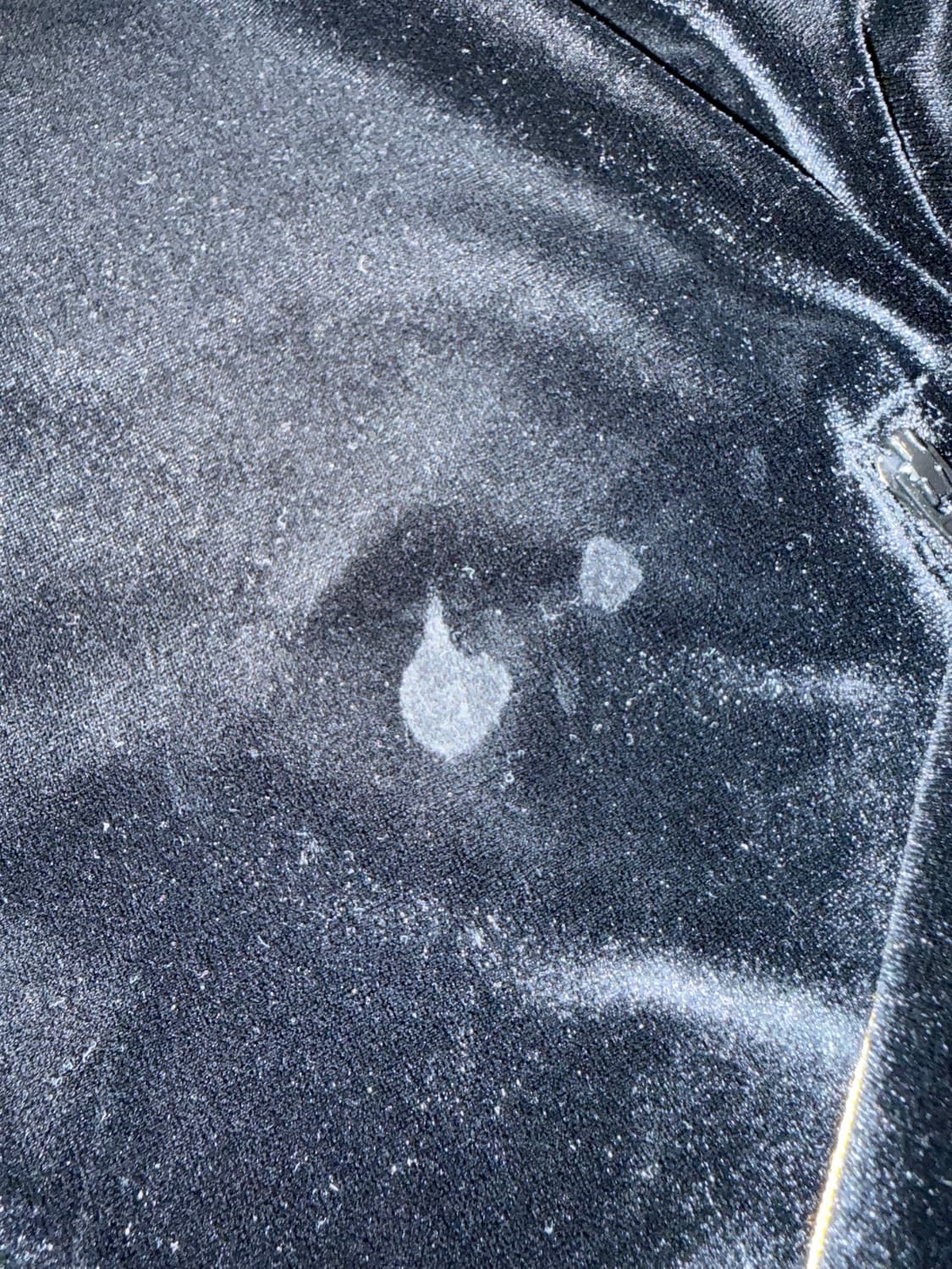 널디 져지 black 상품이미지4