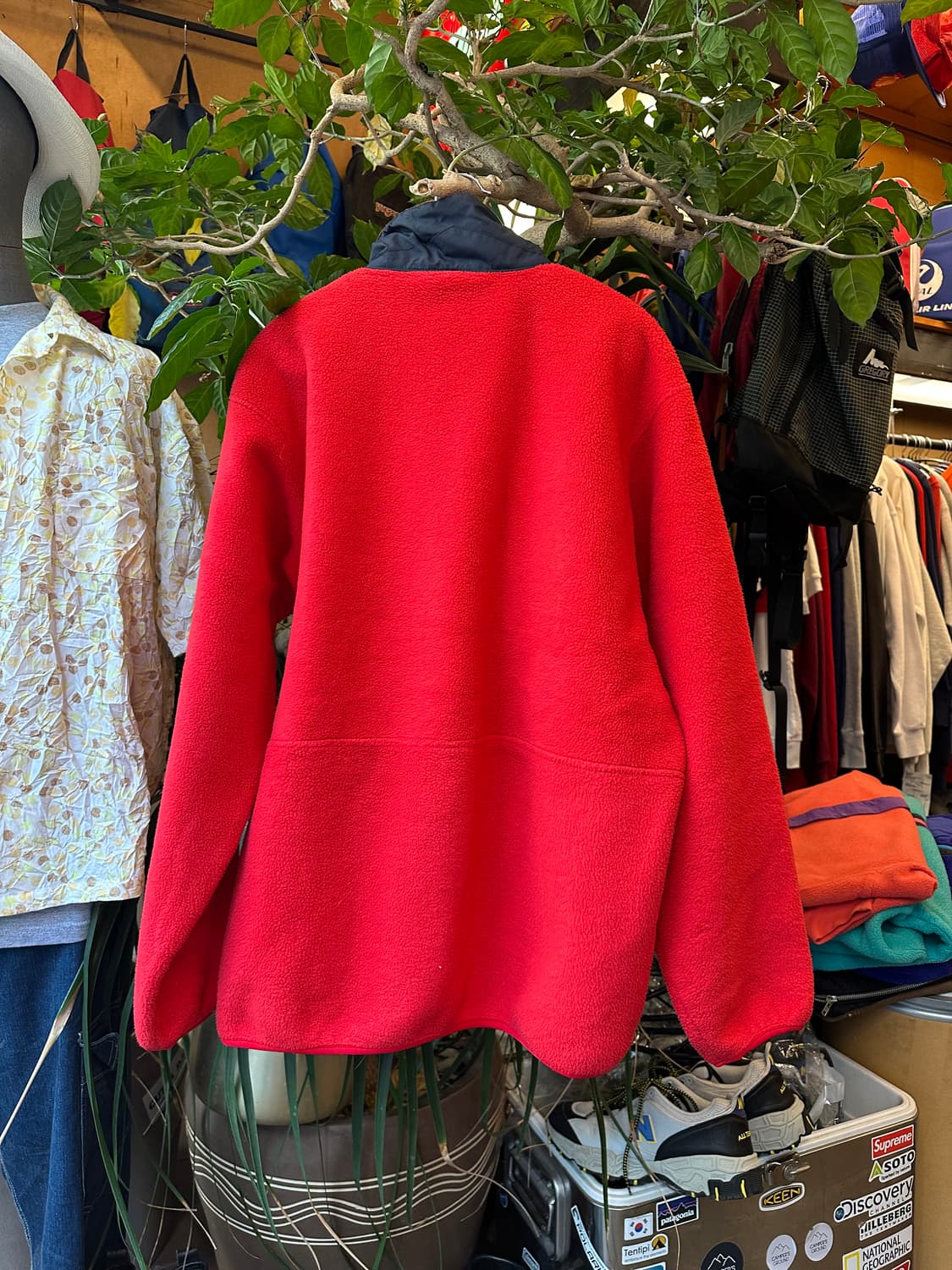 Z-426 파타고니아 신칠라 마수피얼  상품이미지2