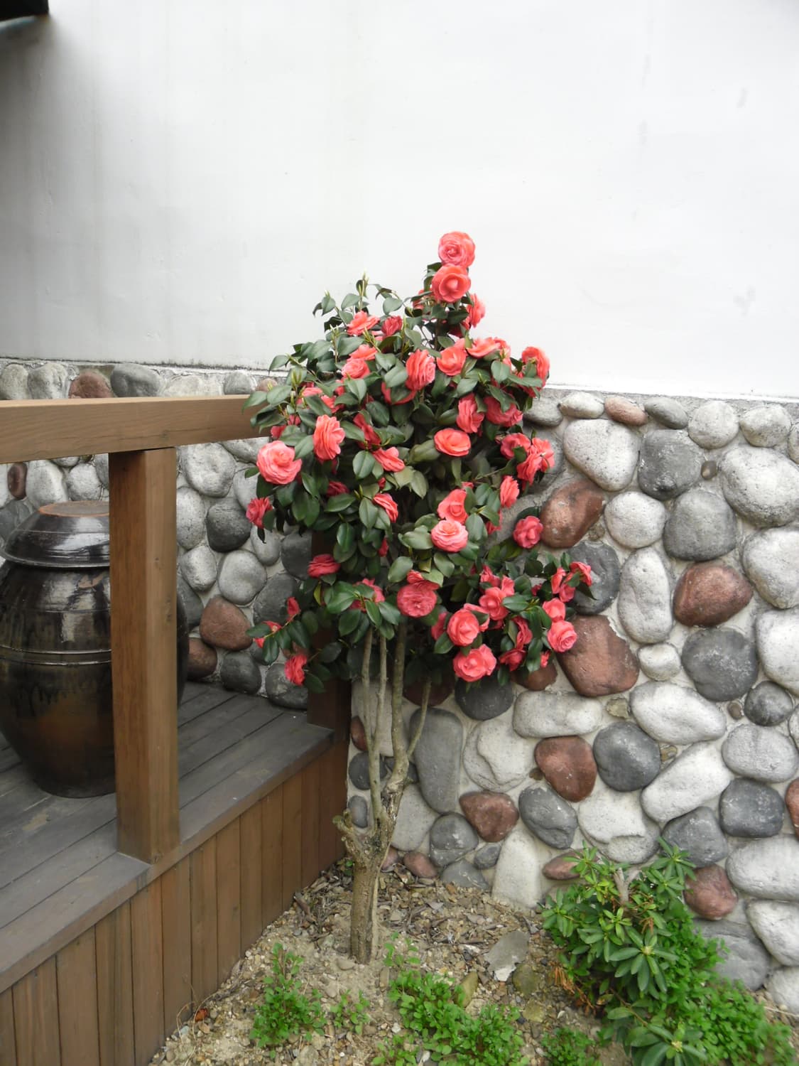 삼성 VLUU ES28 디지털카메라 상품이미지8