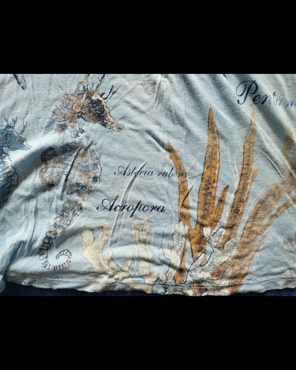 프랑스 수입 모르간 모달 블루 셔츠 상품이미지7