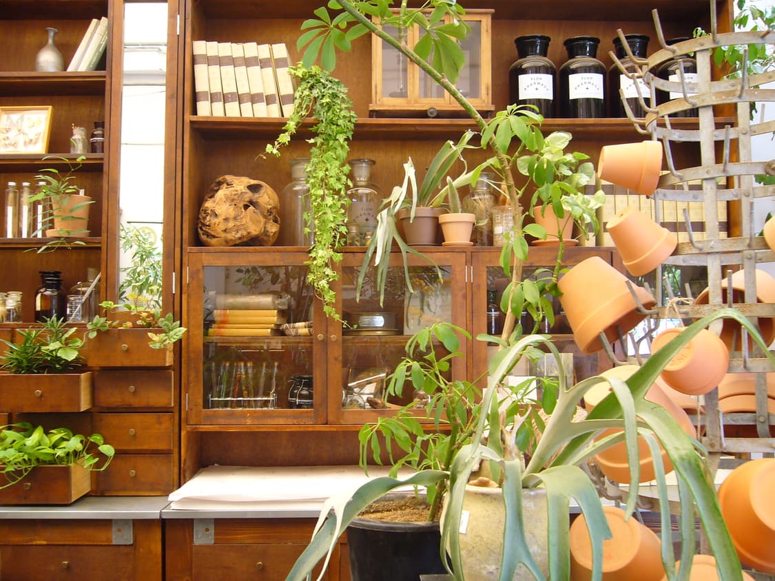 [추천템] 파나소닉 lumix DMC-LS1 핑크 빈티지디카  상품이미지6