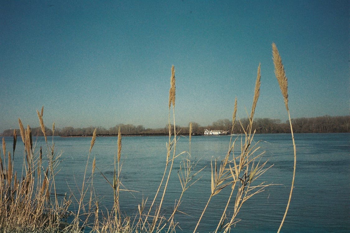 작례O 명기 리코 af zoom mini 줌 미니 필름카메라 빈티지 필카 상품이미지3