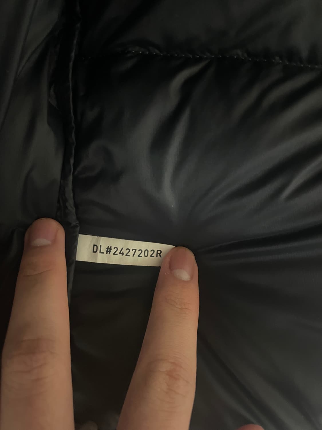 노스페이스 다잉 눕시 다운 에코 그레이 패딩 L 상품이미지8