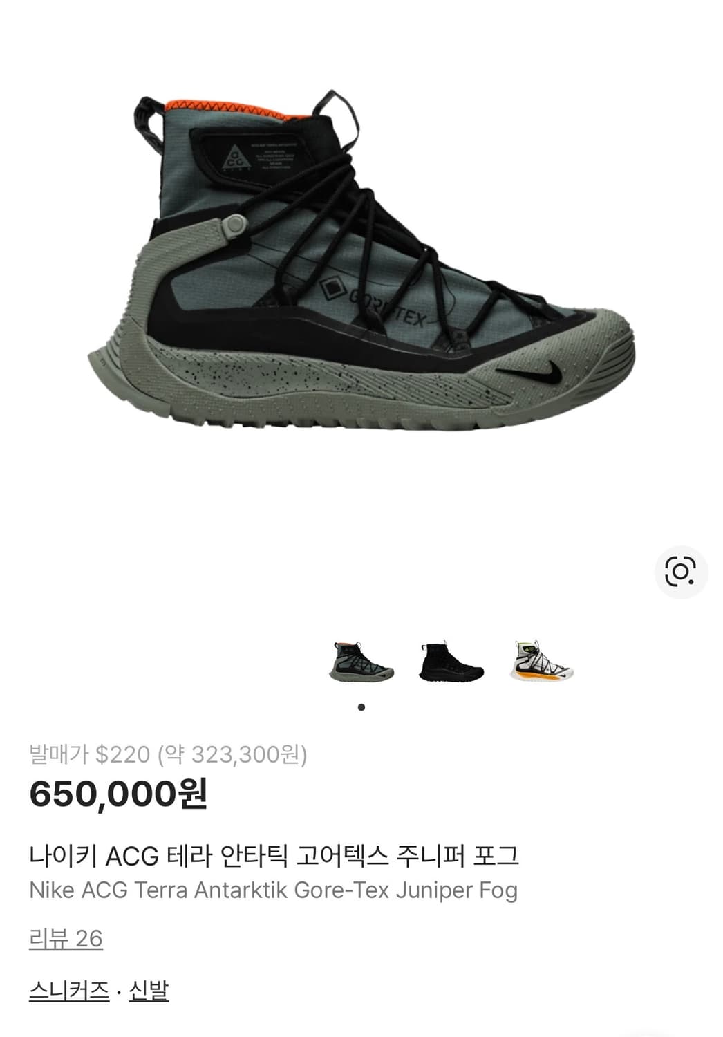 [정가 60만원] 나이키 ACG 테라 안타틱 고어텍스 250 상품이미지2