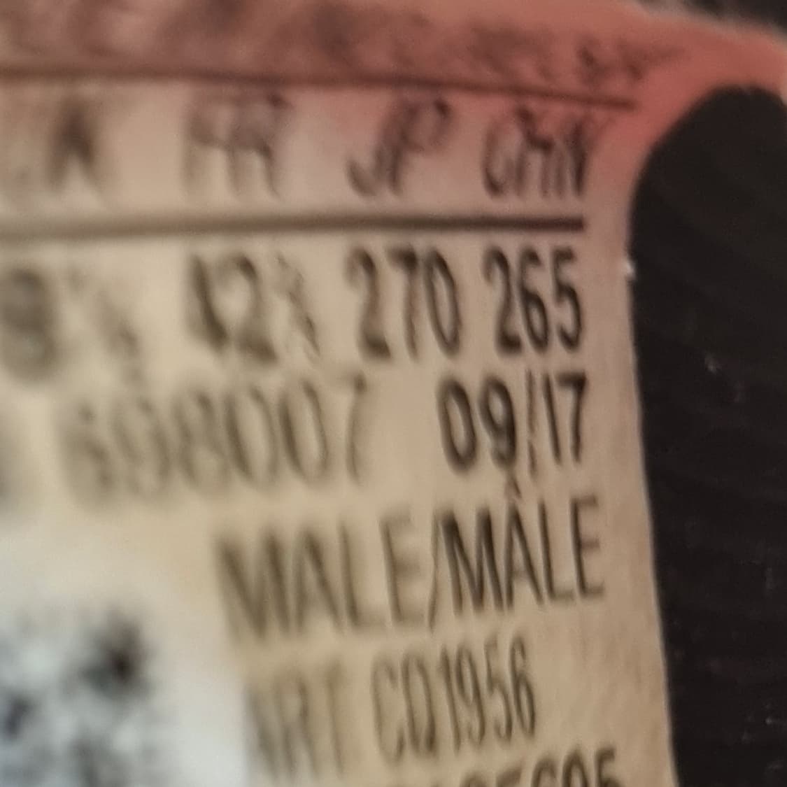 아디다스 프레데터 축구화 270 상품이미지6