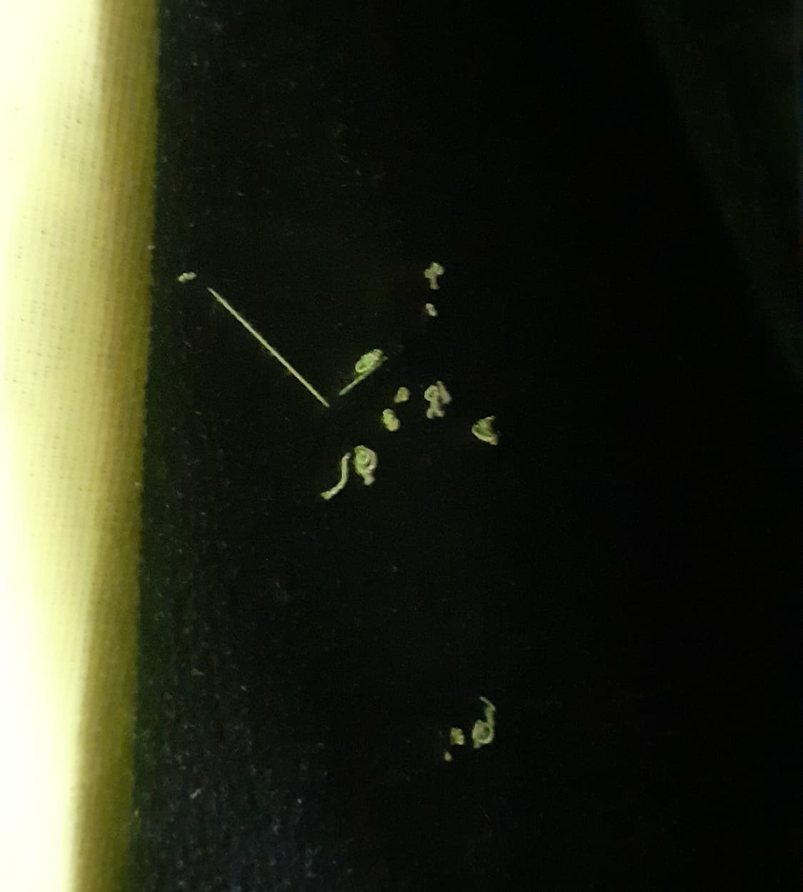 나이키 코비 맘바 후드 집업  상품이미지7