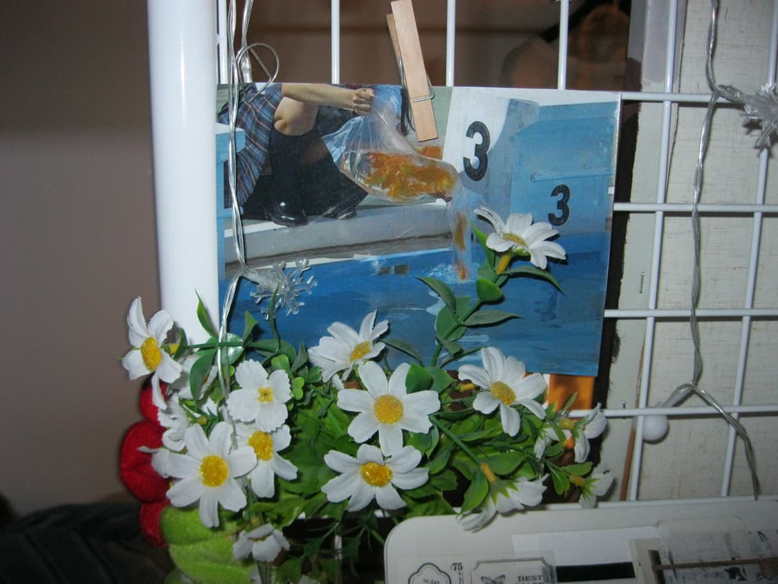 캐논 PowerShot A3000 / 따뜻한 색감의 클래식 감성 디카 상품이미지4