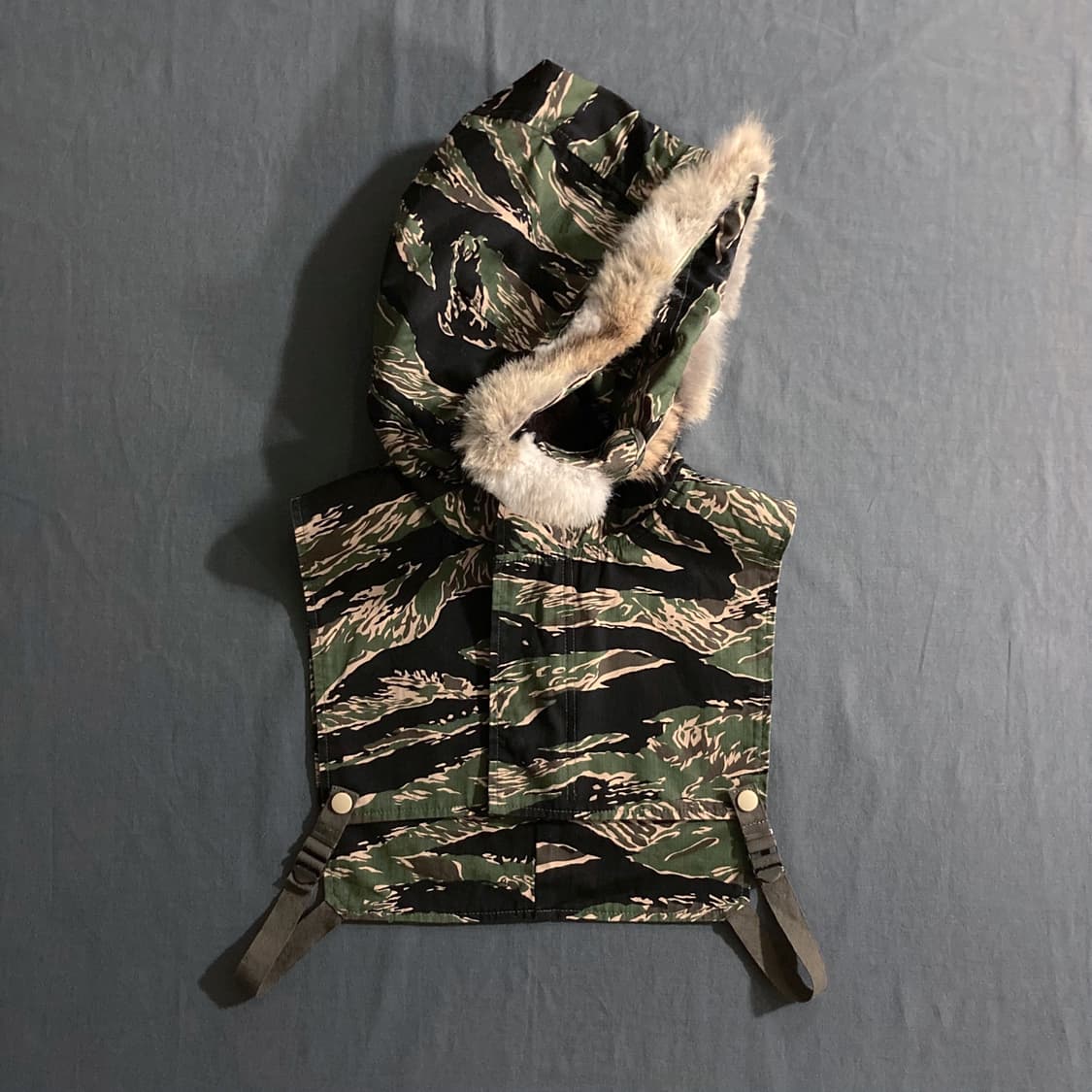 파세타즘 프로텍터 디키 상품이미지1