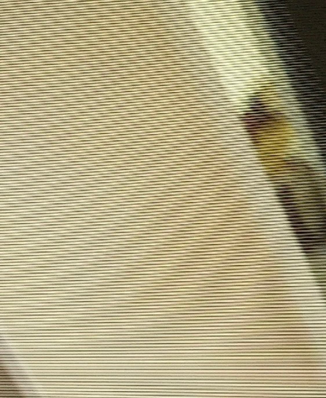 니콘 쿨픽스 s01 제니디카 상품이미지7