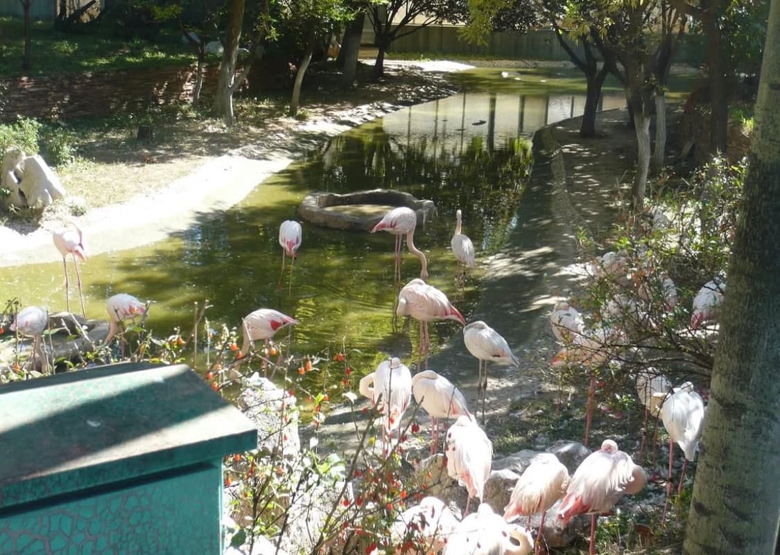 라이카 ! 유키 사용💗 panasonic lumix fx33 메탈핑크 상품이미지3