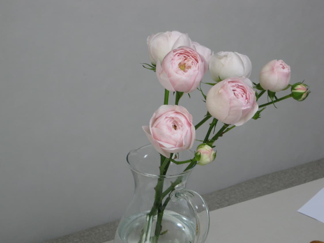 디카 캐논 익시 25(익서스85) 카메라 판매합니다 상품이미지6