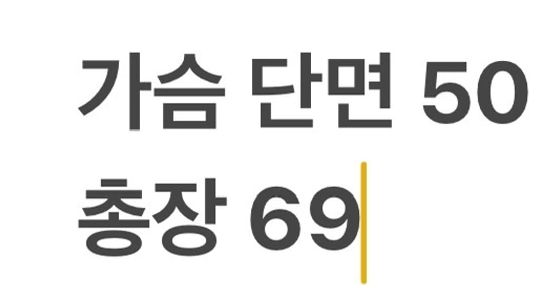 [정품/100] 아디다스 첼시 그레이옐로우 트랙탑 져지 b8 상품이미지8