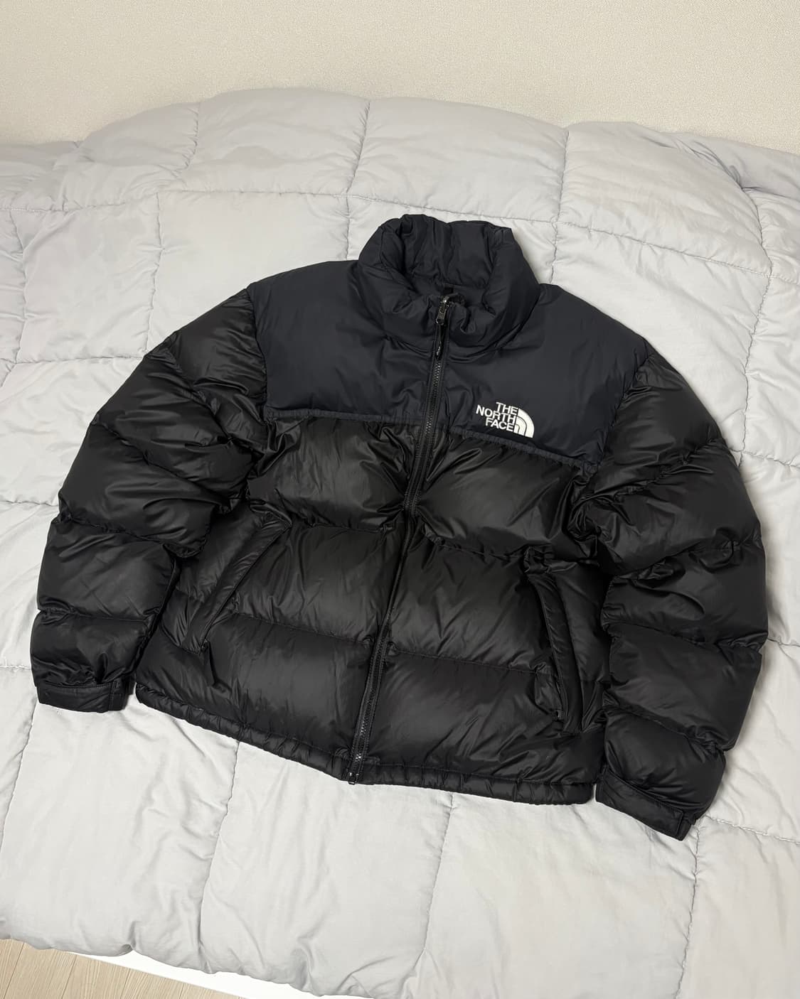 노스페이스 1996 에코 눕시 (XL size) 상품이미지1