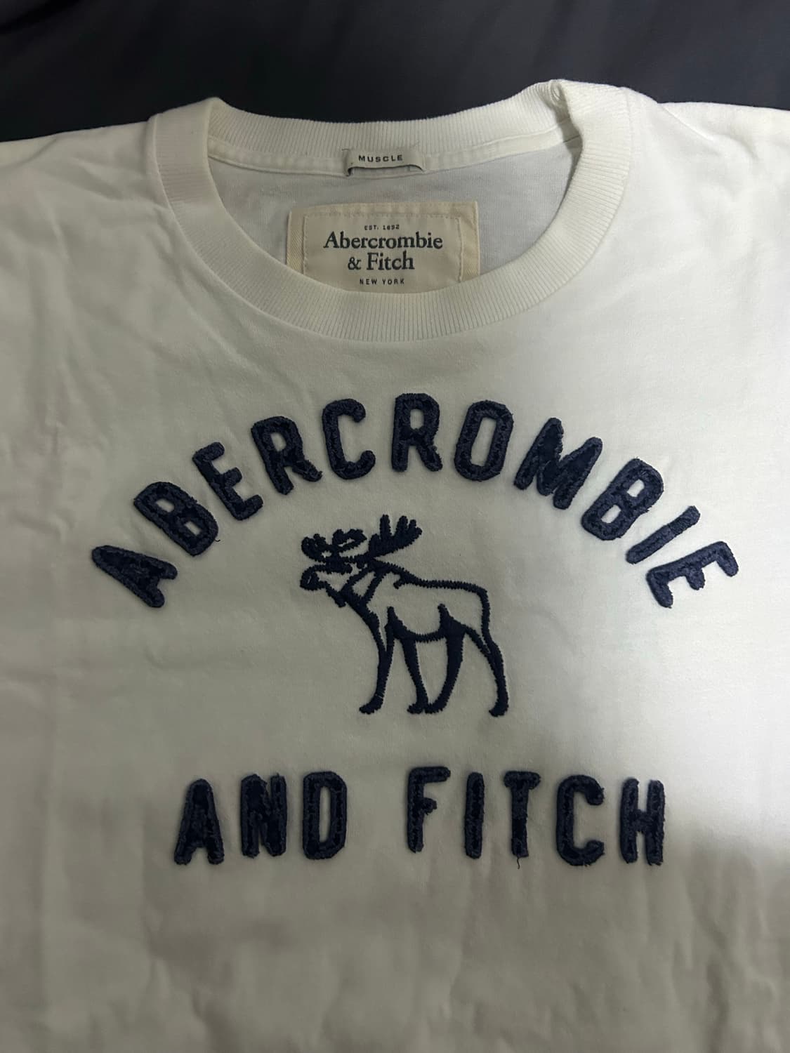 아베크롬비 반팔티 2XL 상품이미지2
