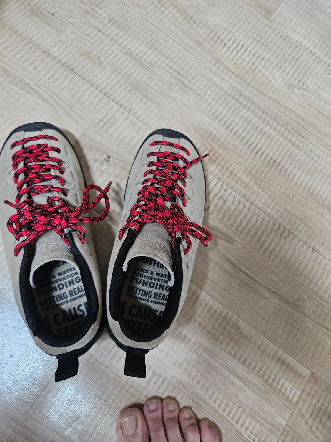 킨제스퍼(230)새상품급 팝니다 상품이미지2