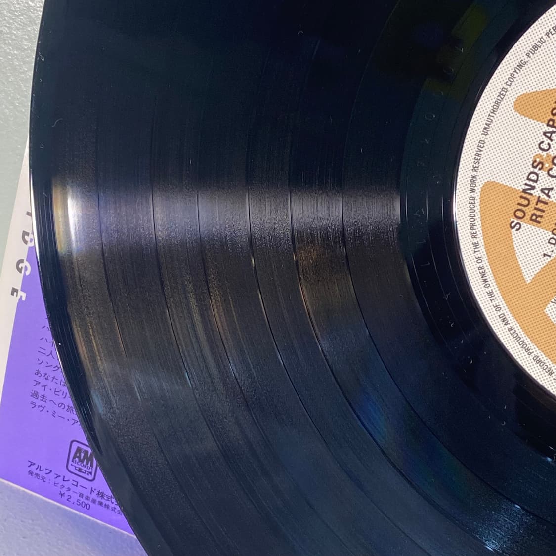 (수입중고LP-팝) Rita Coolidge -Rita 상품이미지6