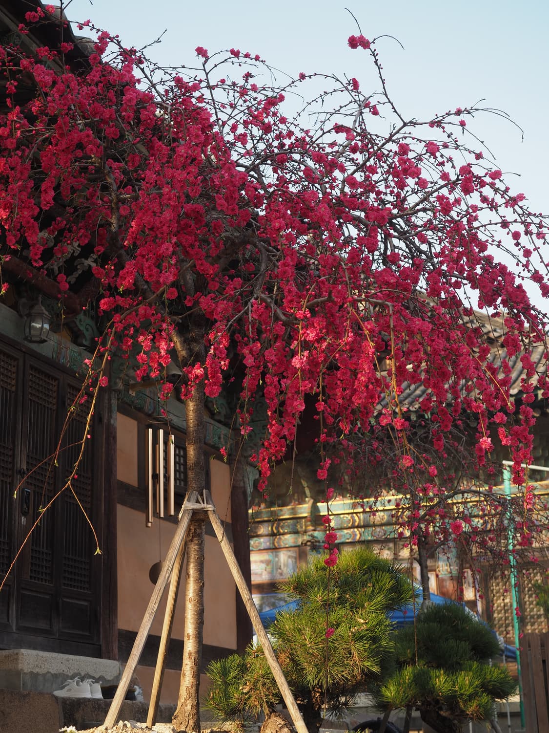 올림푸스 OM-D E-M5 Mark II 급처합니다. 상품이미지7