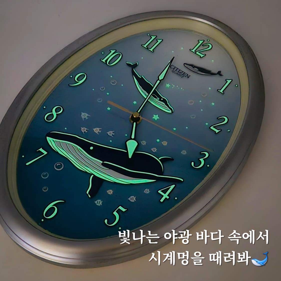 70s 시티즌 뉴트로 야광 고래 오발 벽시계 상품이미지1
