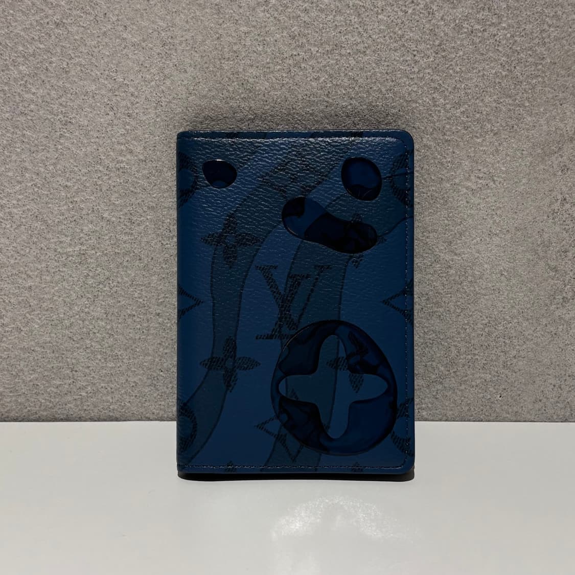 루이비통 아쿠아가든 오거나이저 상품이미지1