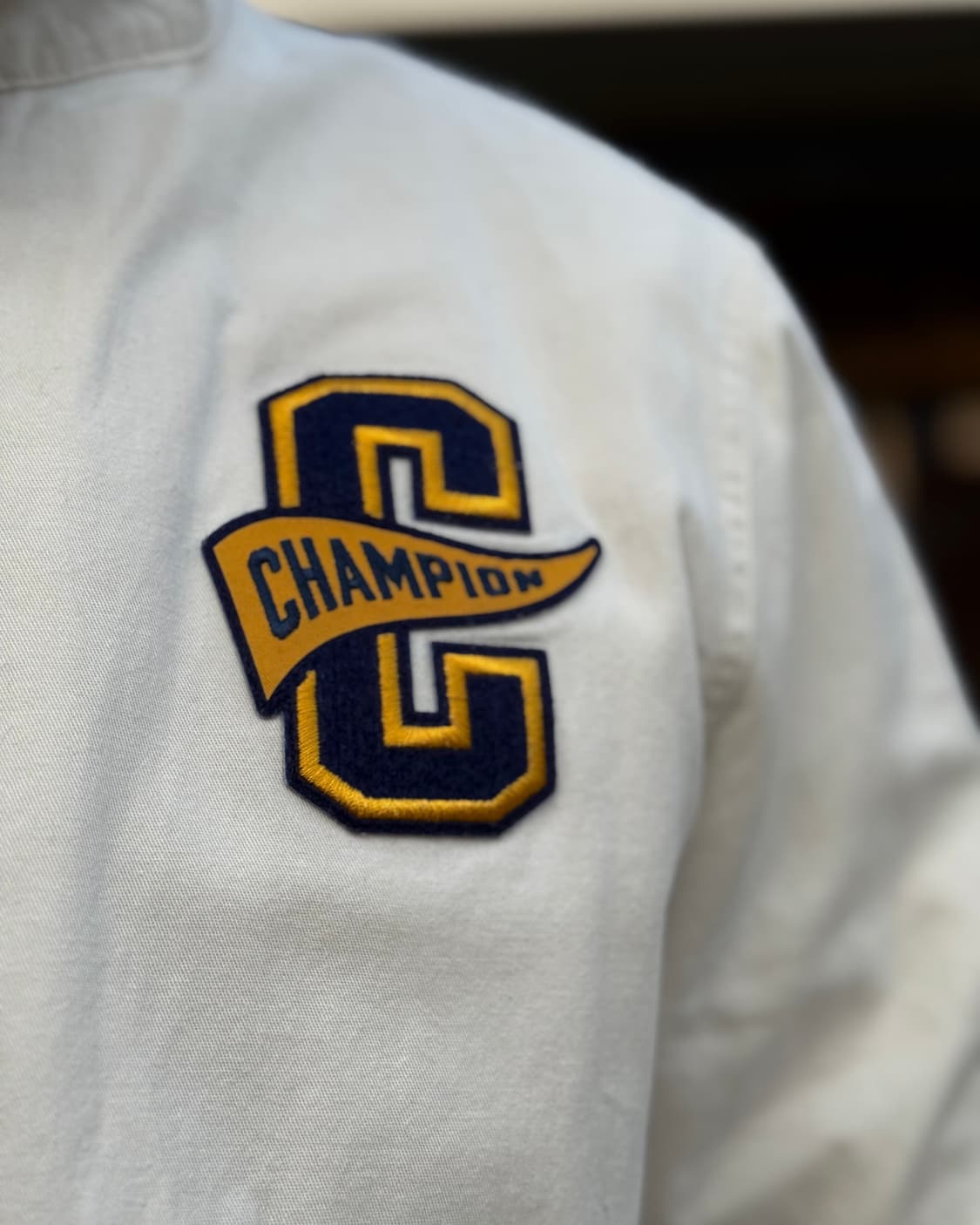 챔피온 레터맨 코튼 자켓 L 상품이미지10
