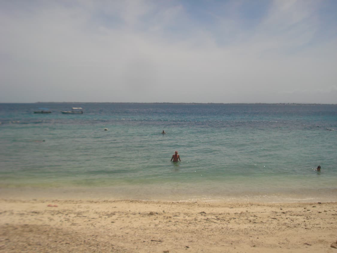 소니 사이버샷 dsc w55 상품이미지3