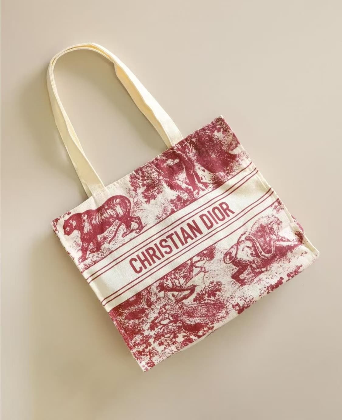 디올 리비에라 에코백 상품이미지4