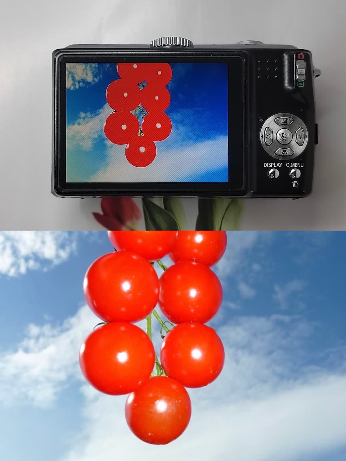 (쨍한 비비드 톤🫧) 파나소닉 루믹스 TZ5 | Lumix DMC- 상품이미지4