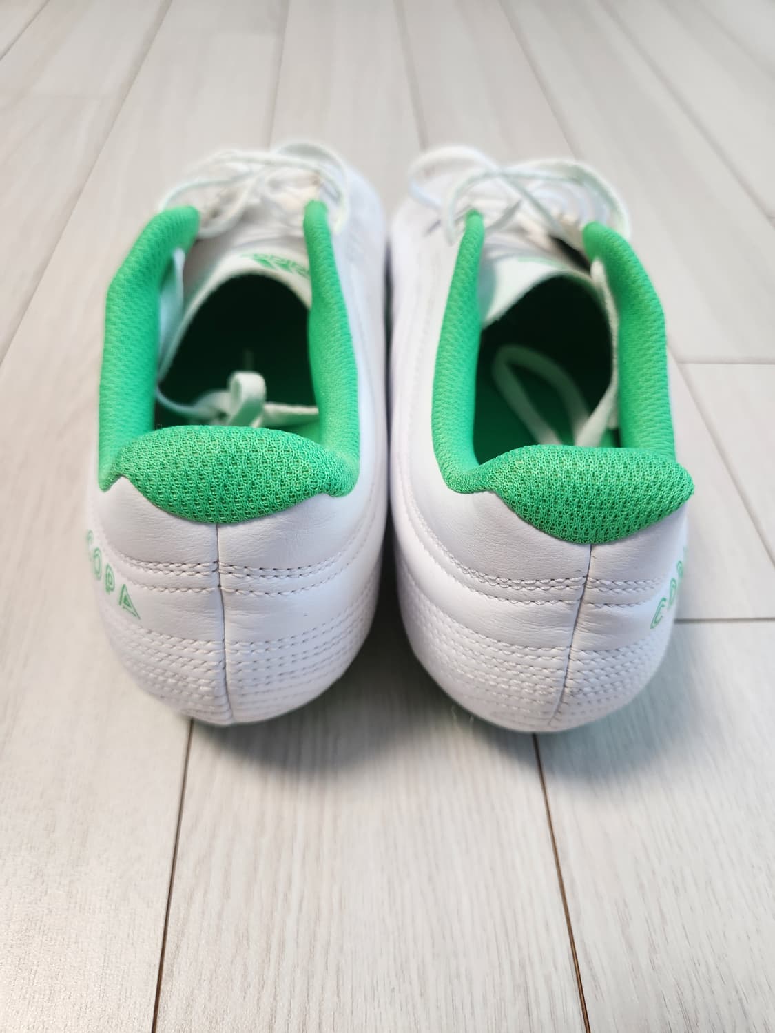 아디다스 축구화 코파 19.4 FG D98069 사이즈260

축구화/남 상품이미지4