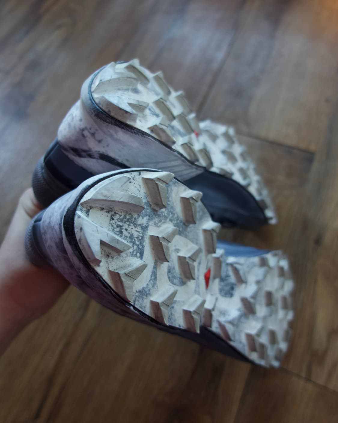 11 by BBS X Salomon Speedcross 상품이미지8