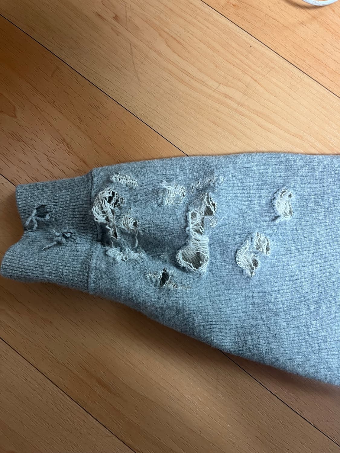 챔피온 맨투맨 상품이미지2