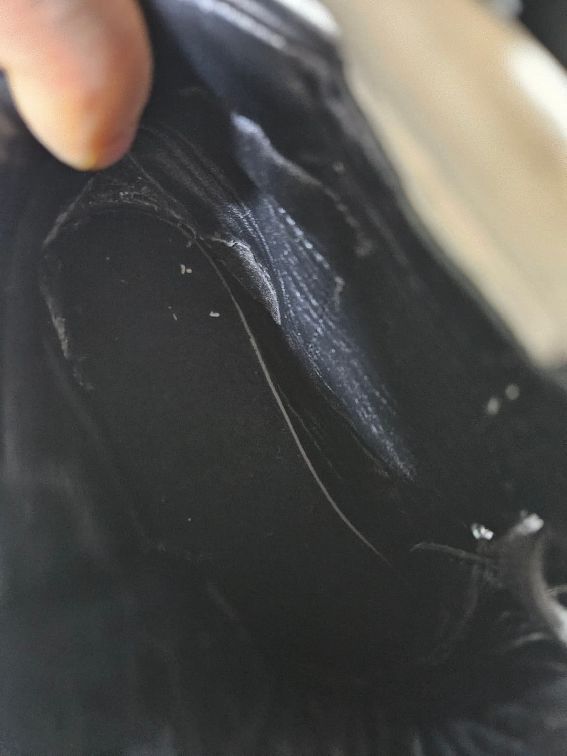 11 by bbs 보리스 비잔 밤바 41 상품이미지5