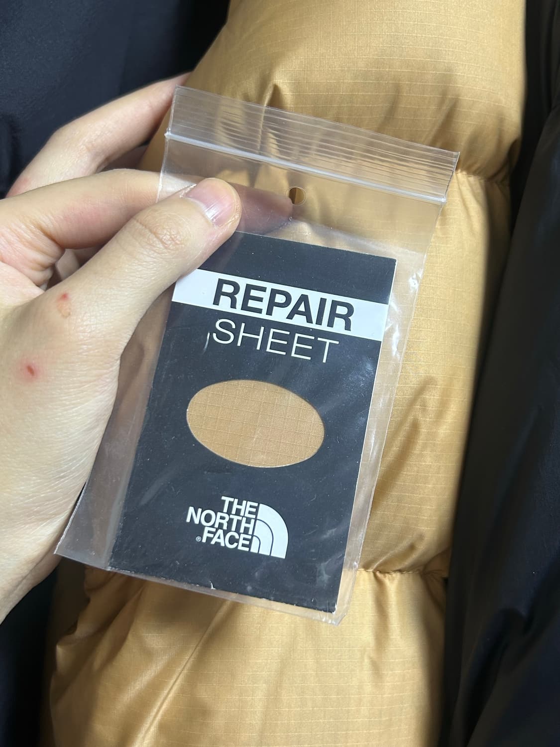 노스페이스 1996 에코눕시 베이지 상품이미지7