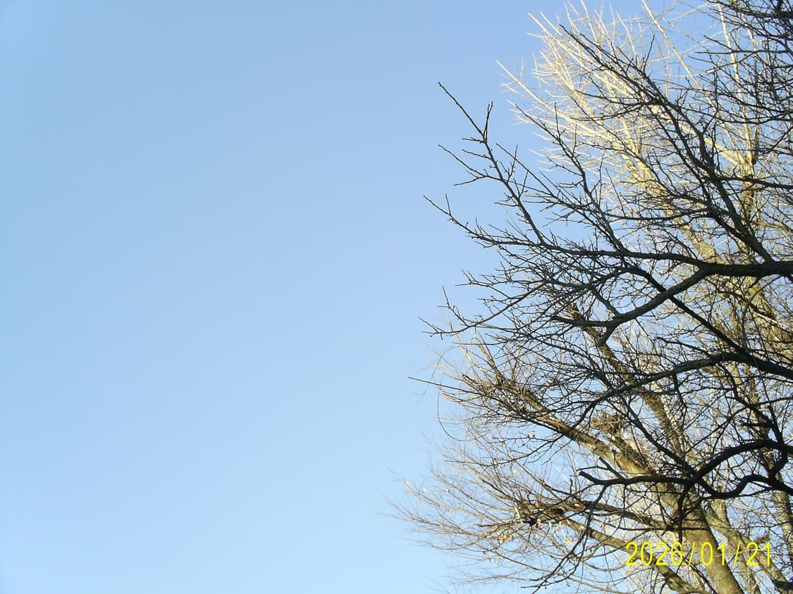 삼성케녹스 D402디카 상품이미지7