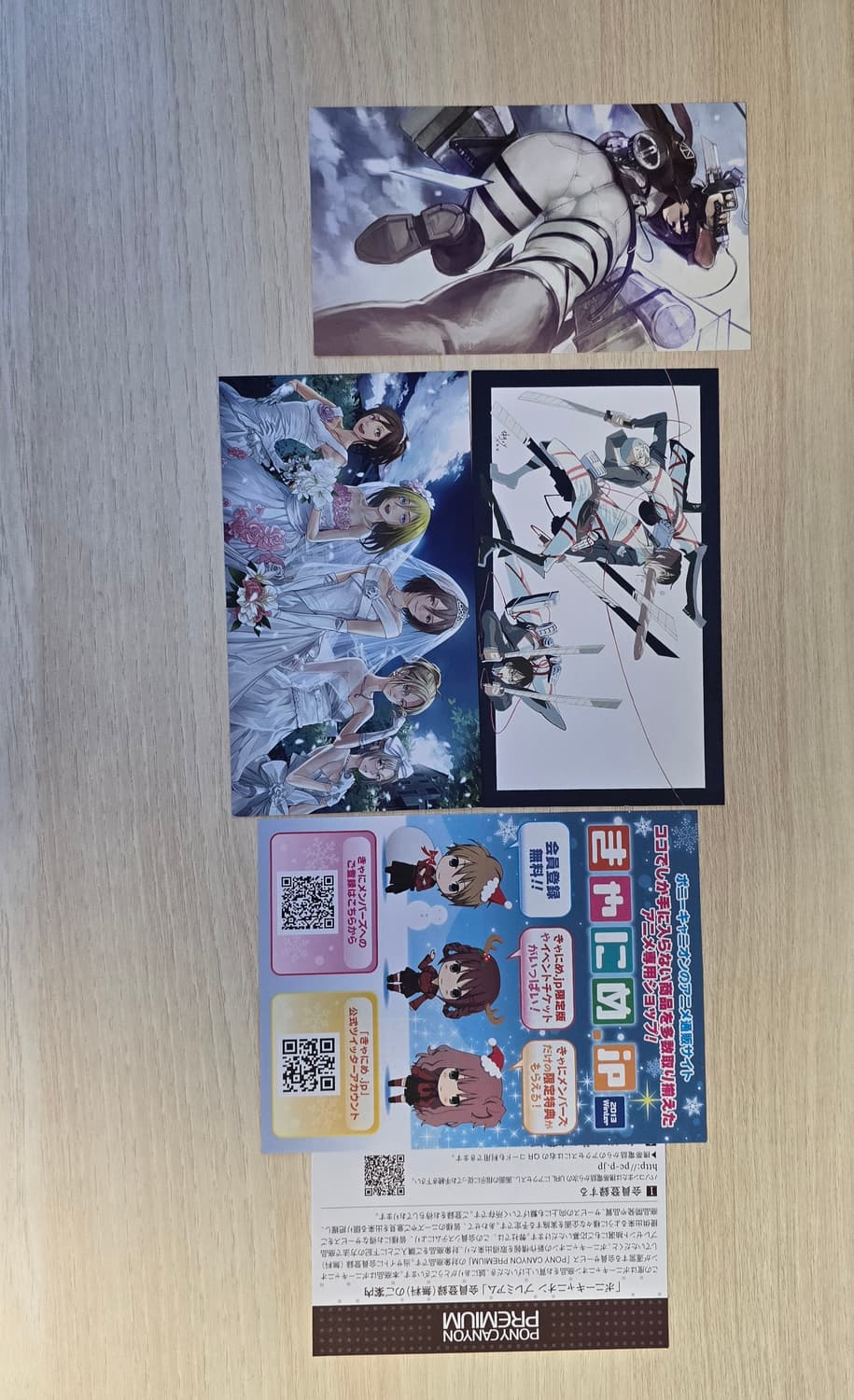 한정판 진격의거인 블루레이박스 조사병단 켈린더 설정 북클릿 일러스트컷 상품이미지4