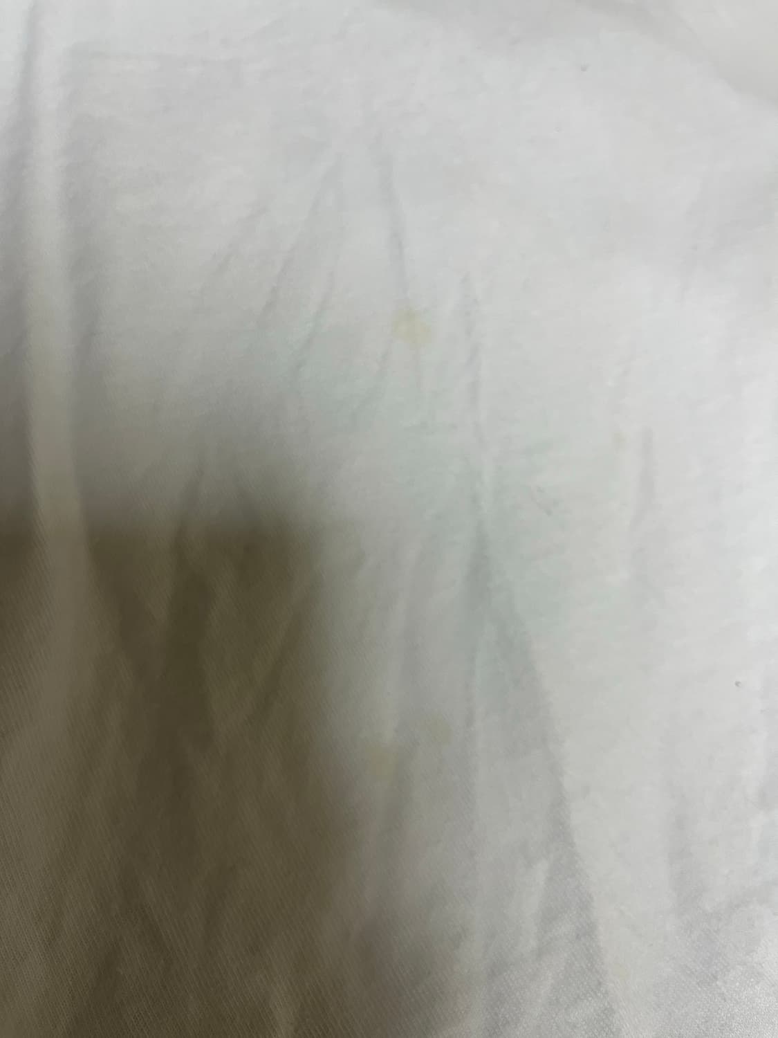 스투시 반팔 화이트 (L) 상품이미지8