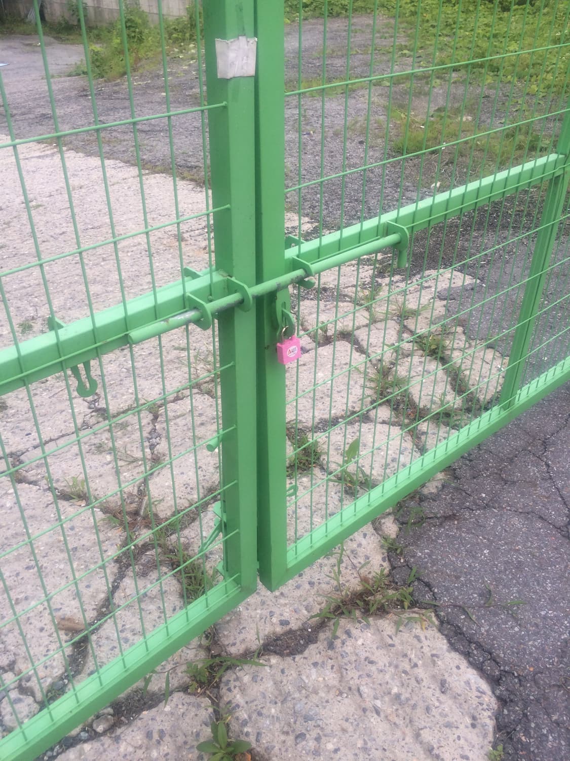 allopalo 님 개인 결제창 상품이미지1