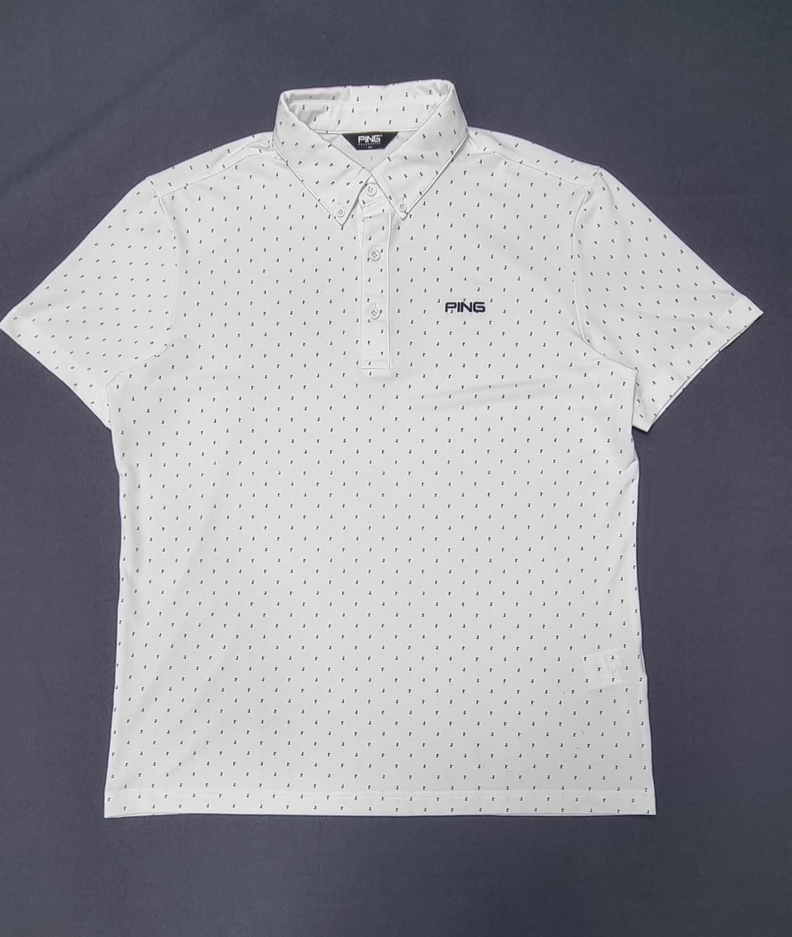 PING 핑 미니 프린트 카라넥 반팔 L _ 남성 상품이미지1