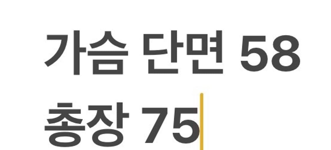 [정품/XL] 노스페이스 오렌지 회색 바람막이 b19 상품이미지10