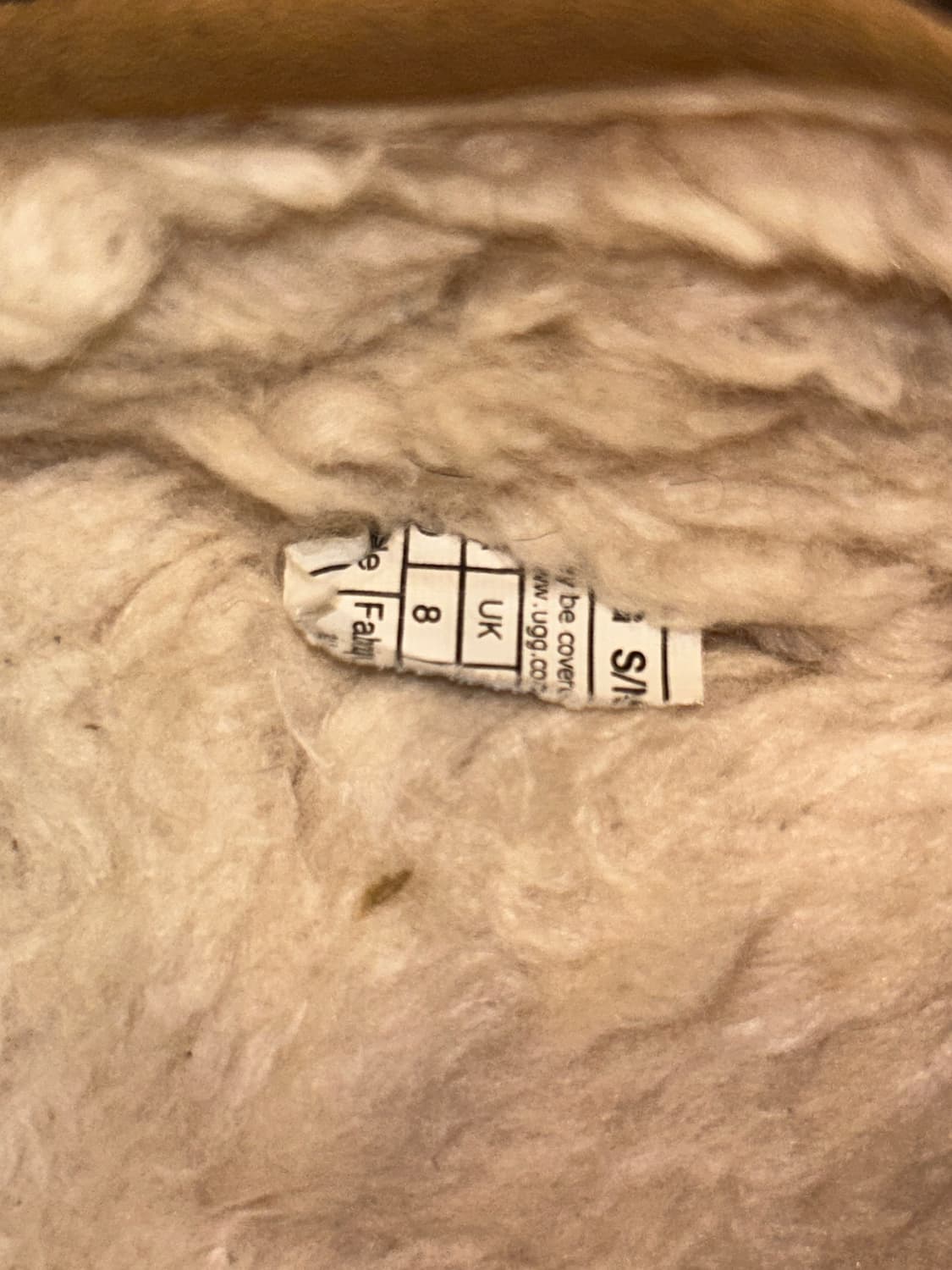 어그 타스만 상품이미지2