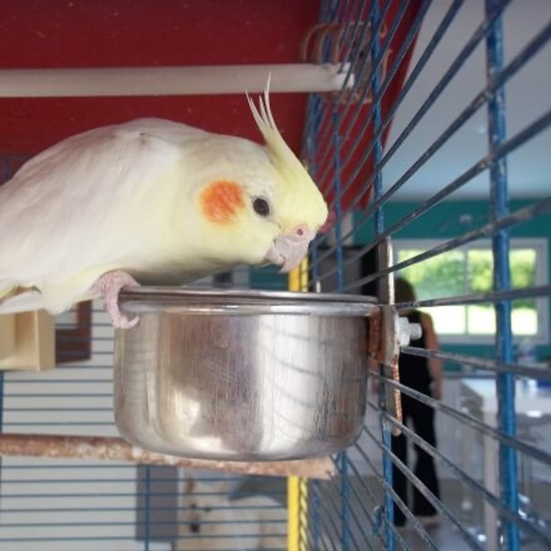 Kodak EasyShare C143 코닥 이지쉐어 디카 상품이미지8