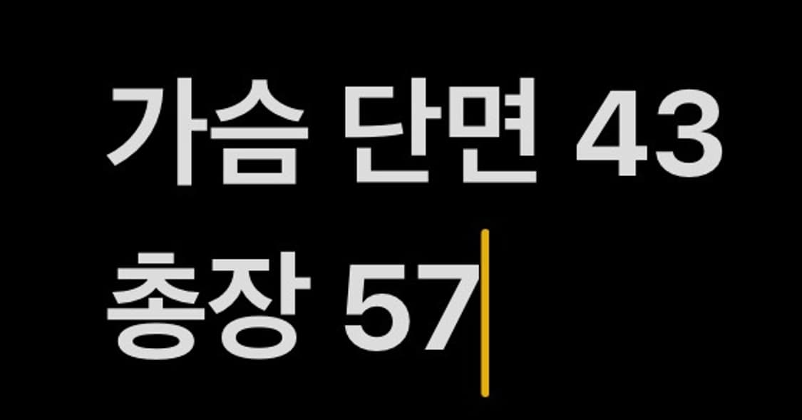 [ 정품/73 ] 아디다스 파이어버드 트랙탑 져지 b15 상품이미지8