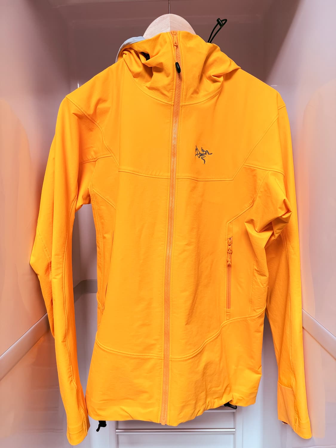 아크테릭스 감마 후디 s 상품이미지1