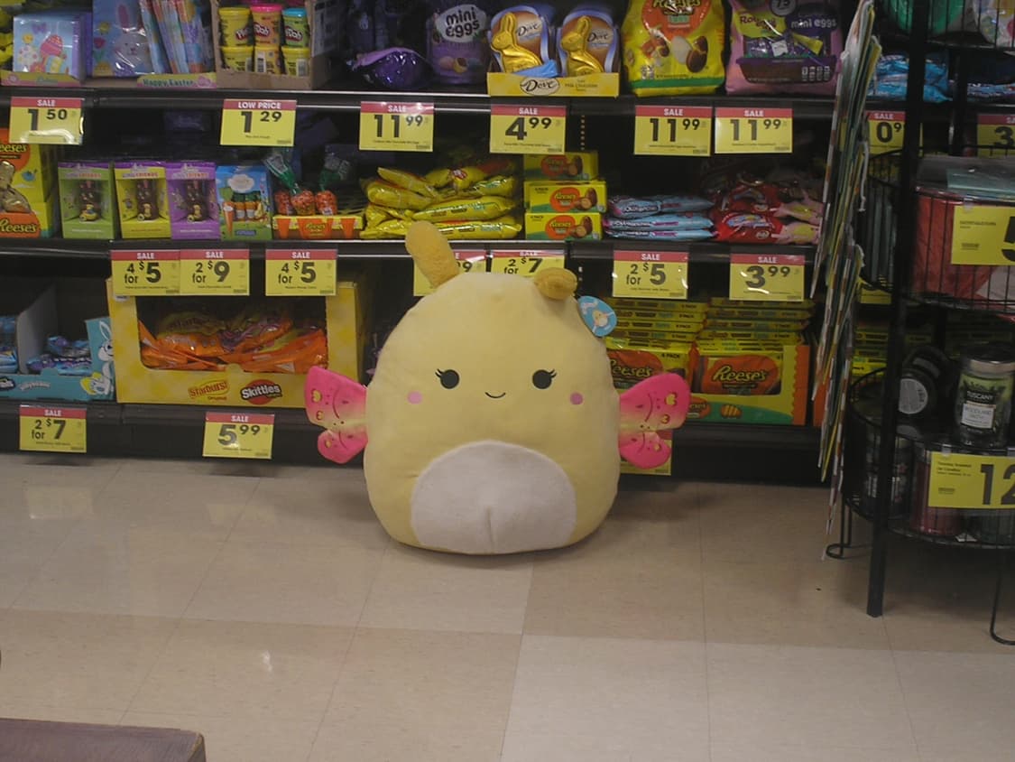 올림푸스 c-170 상품이미지3