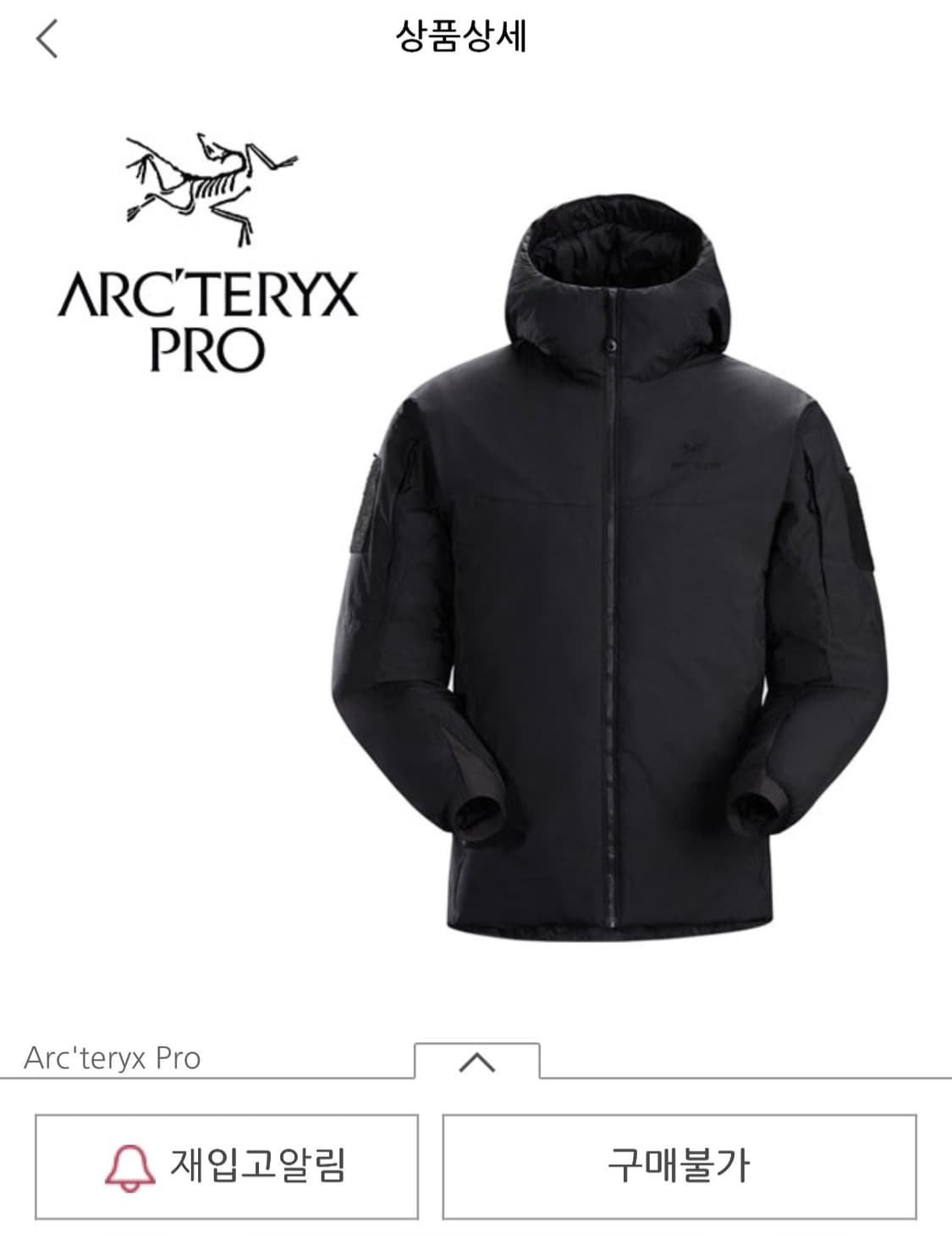 아크테릭스 프로 콜드 WX 후디 LT Gen2.1 (검정) 상품이미지1