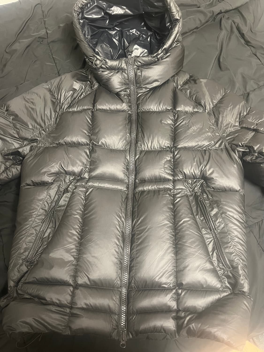 CP컴퍼니 24fw dd쉘 급처 팝니다 상품이미지1