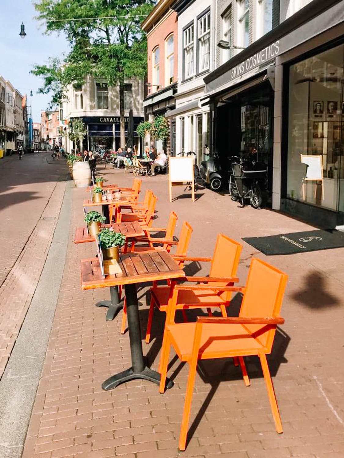 사쿠라 디카 Nikon Coolpix 2100 (니콘 쿨픽스 2100) 상품이미지8