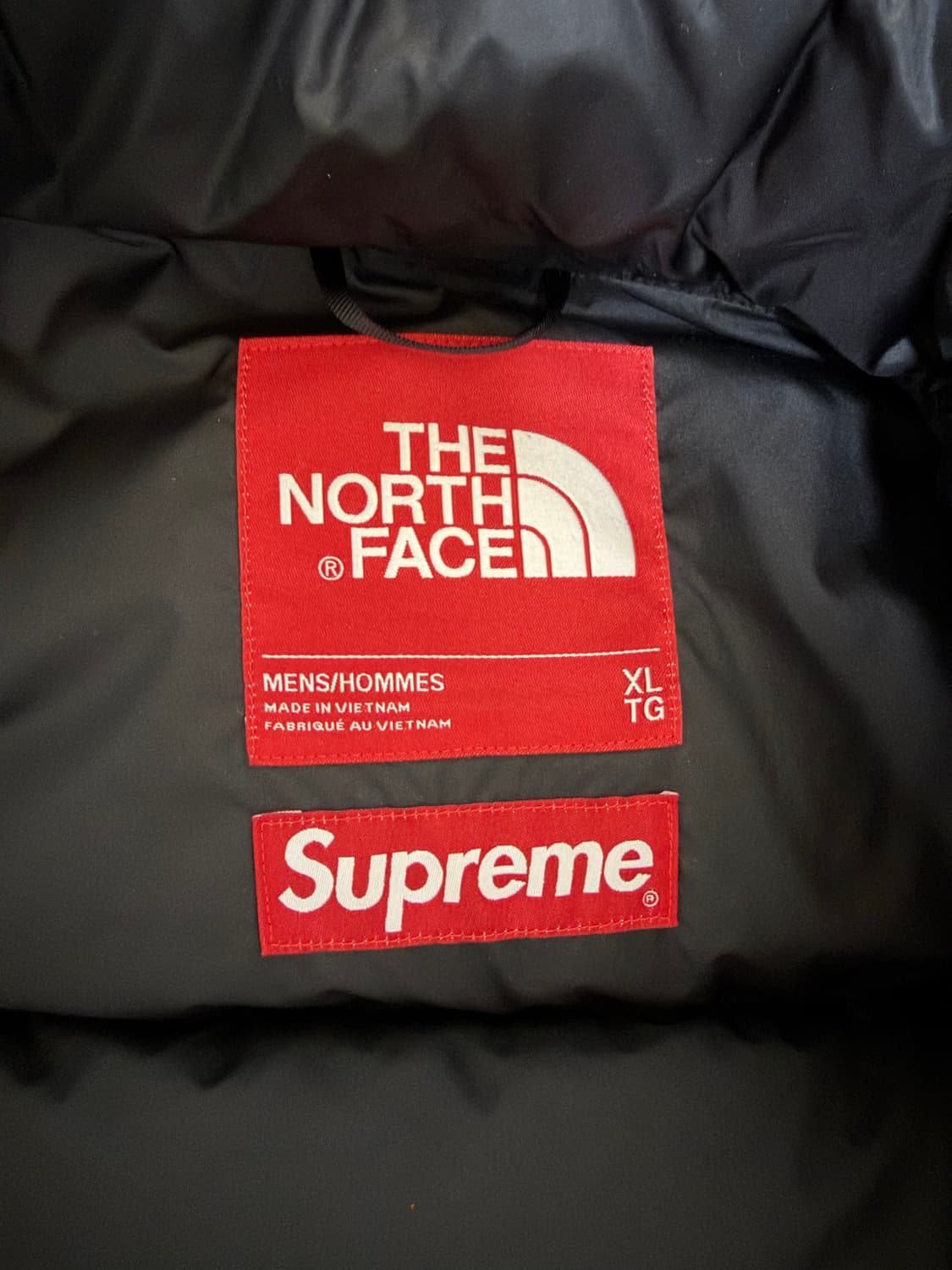 슈프림x노스페이스 슈노 페이퍼 눕시 XL 상품이미지6