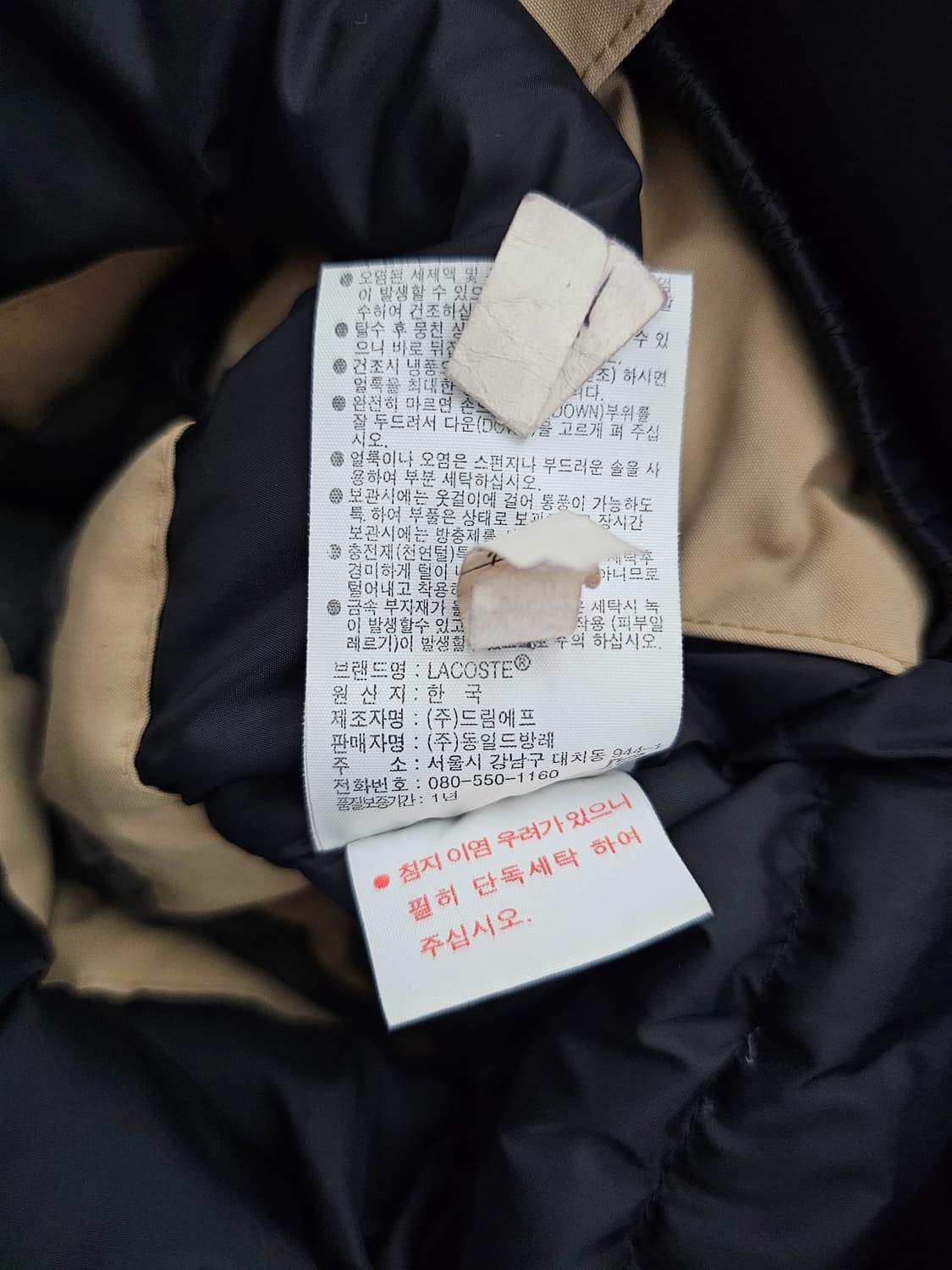 라코스테 여성 덕다운패딩 36(95) 상품이미지5